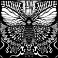 Black Moth – „Chicken Shit”
