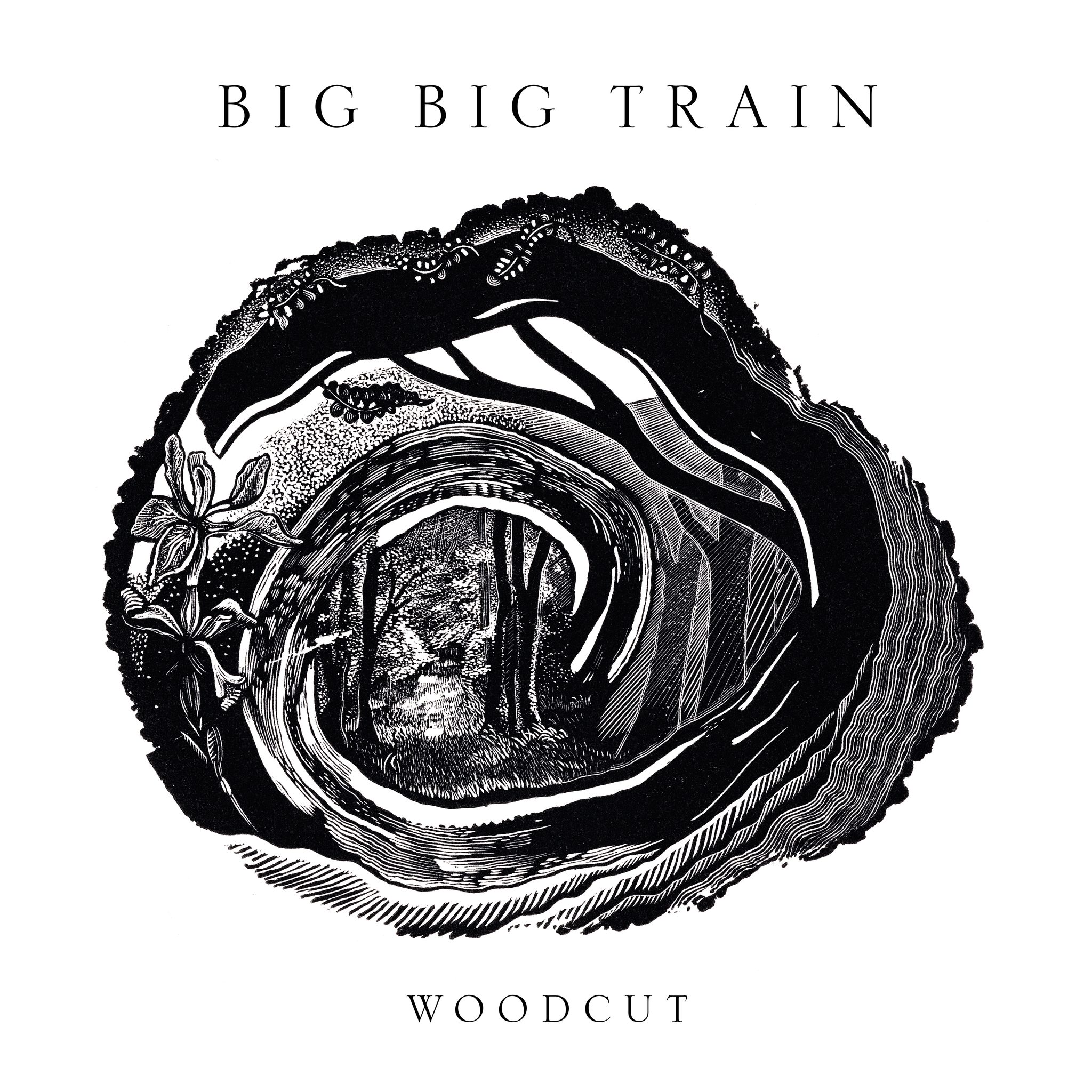 Big Big Train - Woodcut