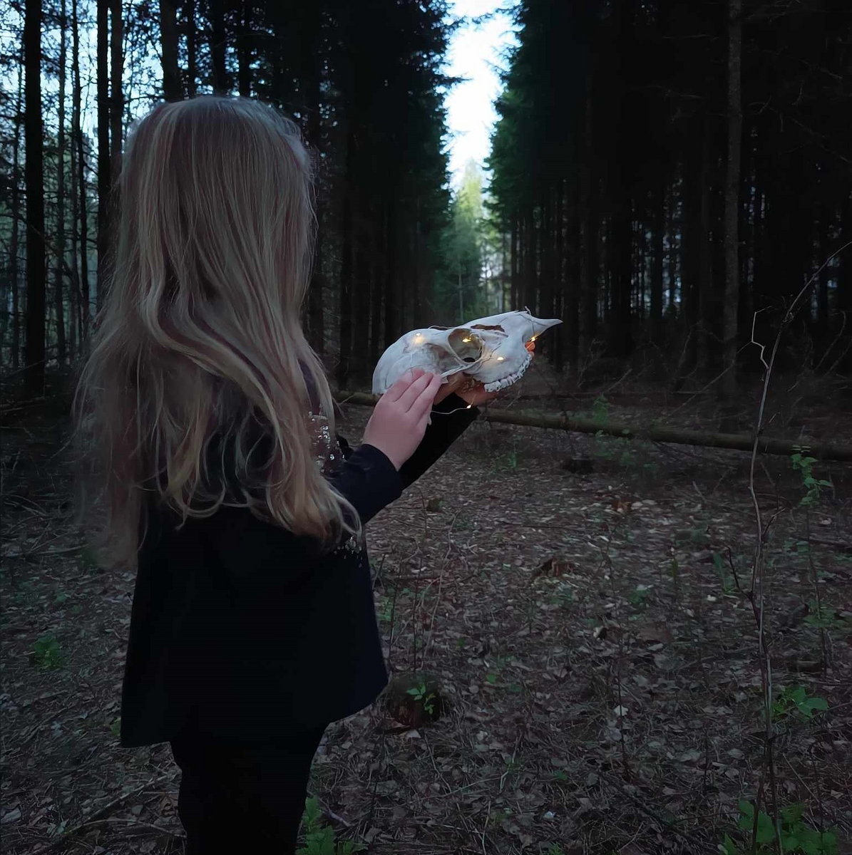 Newspaperflyhunting - Timeless